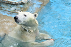令和6年８月１０日の撮影⑮