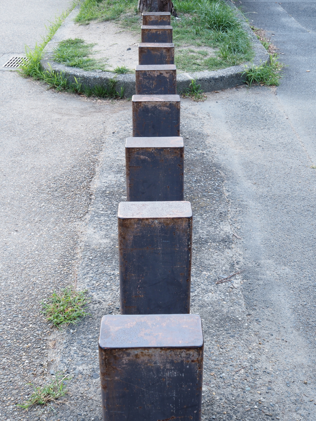 令和６年８月２４日の撮影