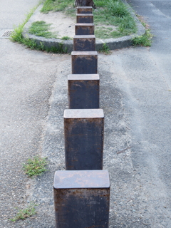 令和６年８月２４日の撮影