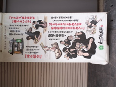 過去に撮影した写真