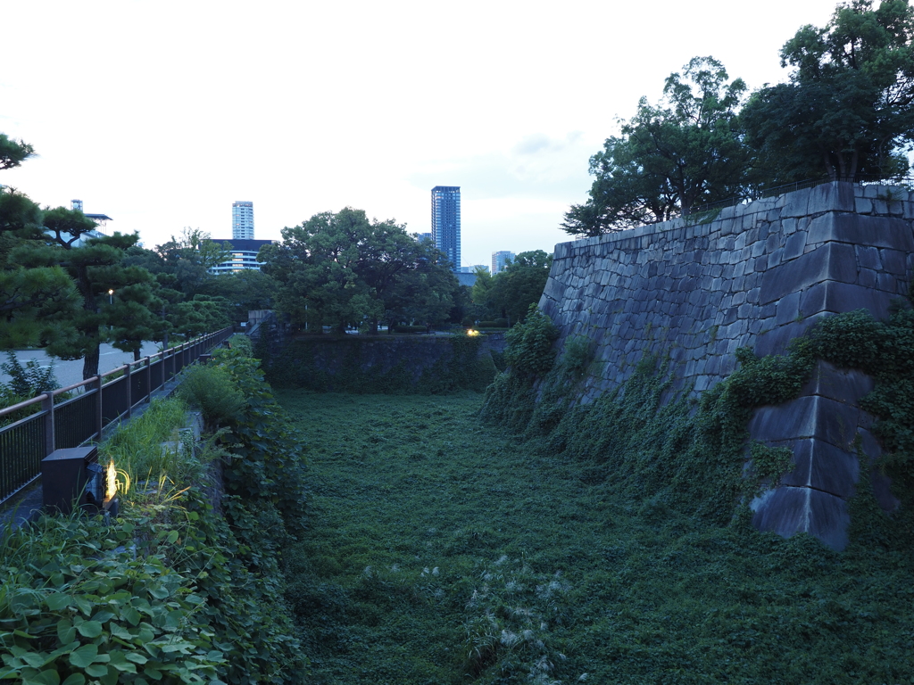 令和６年８月２４日の撮影