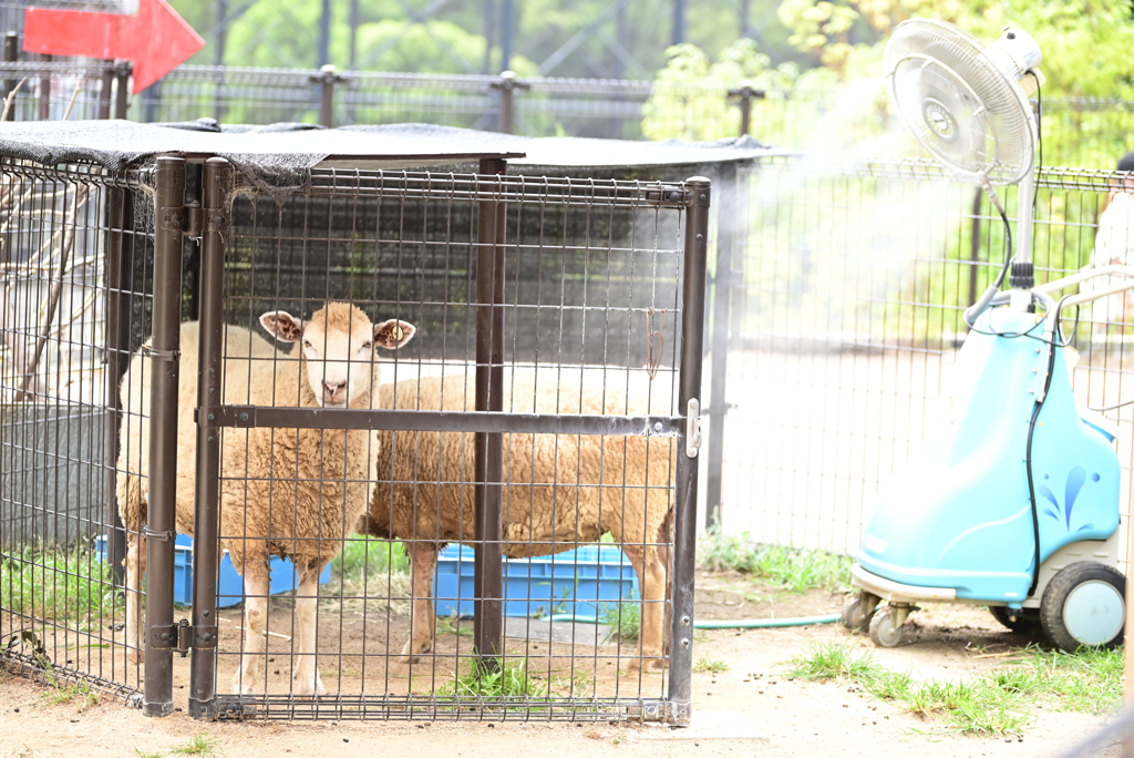 令和6年８月１０日の撮影②