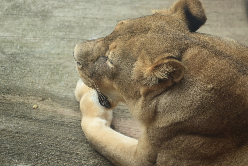 令和6年８月１０日の撮影㉓