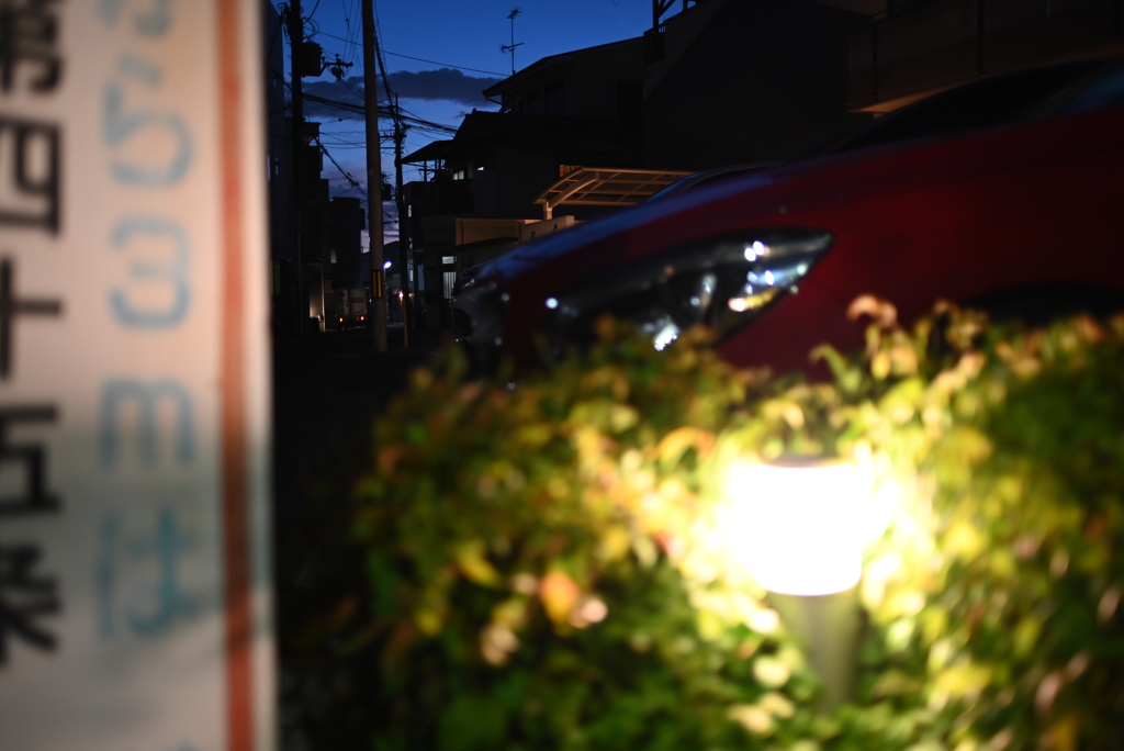 令和６年８月９日の撮影②