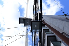 令和6年８月１０日の撮影（41）