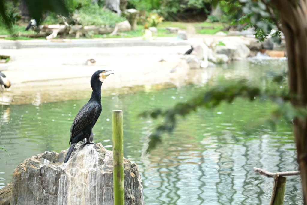 令和6年８月１０日の撮影⑤