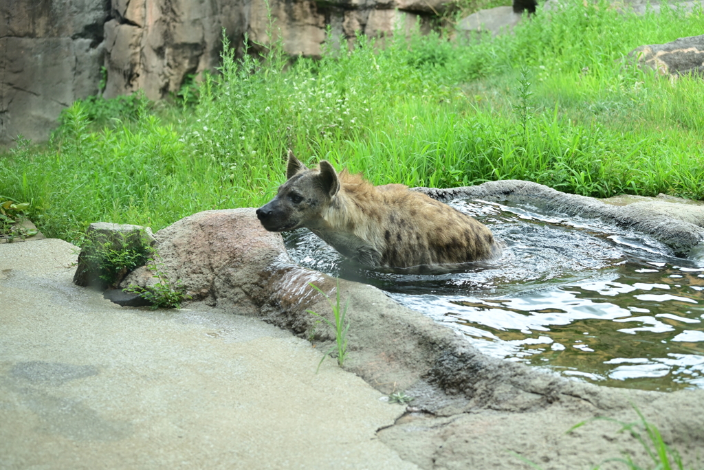 令和6年８月１０日の撮影㉑