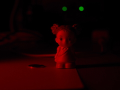 過去に撮影した写真