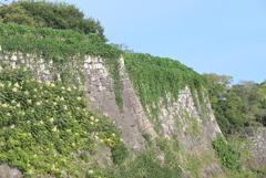 大阪城公園周辺
