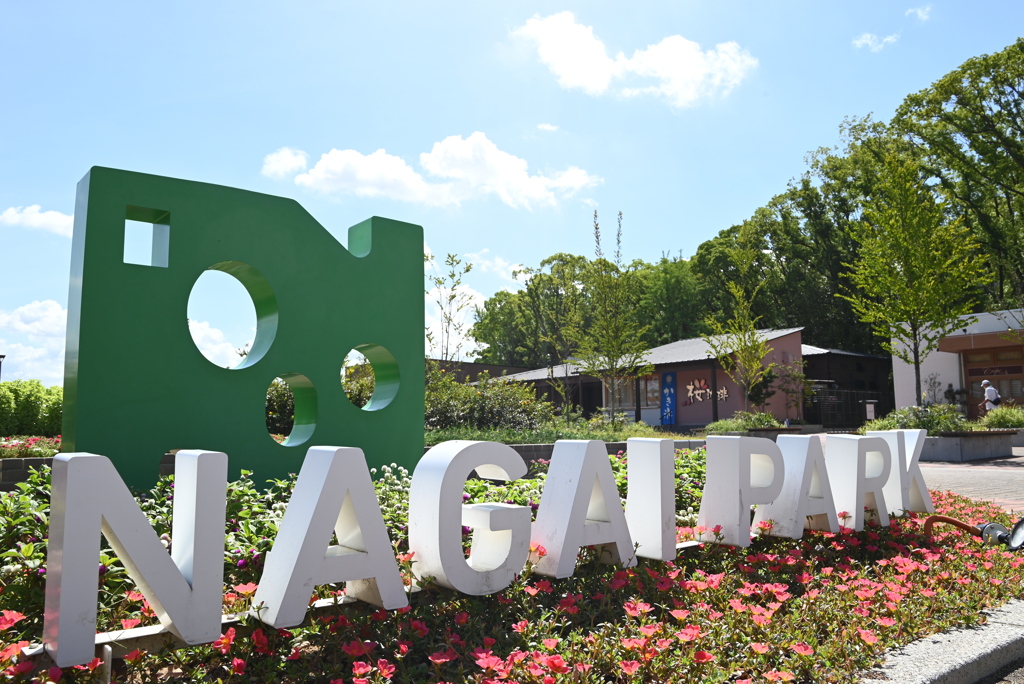 令和６年７月２７日長居公園　①　