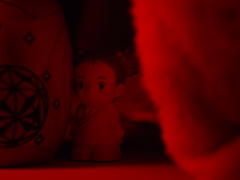 過去に撮影した写真