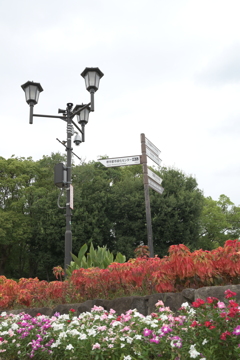 大仙公園