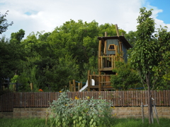 令和６年８月２４日の撮影