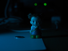 過去に撮影した写真