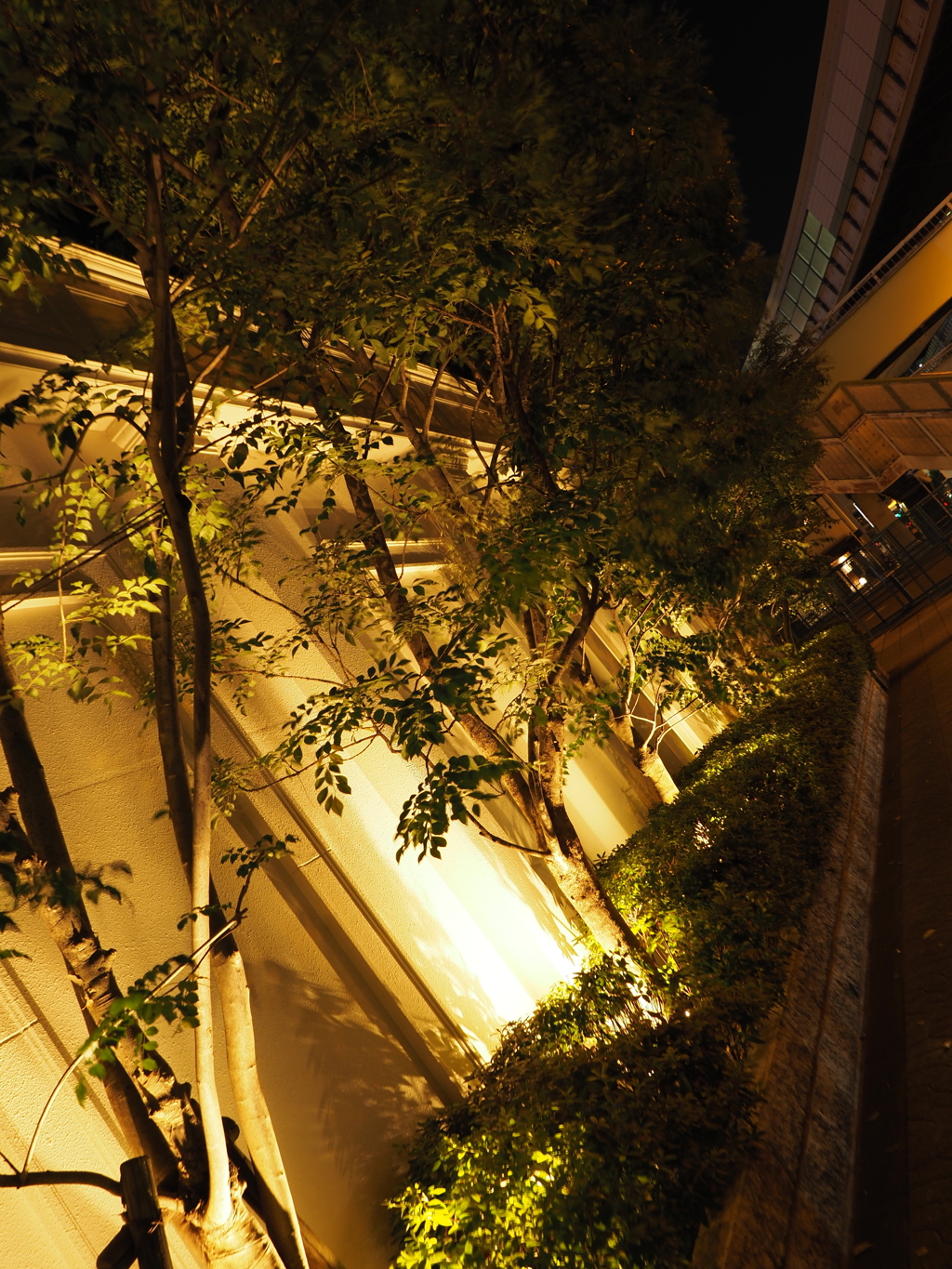 令和６年８月２４日の撮影