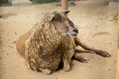 令和6年８月１０日の撮影③