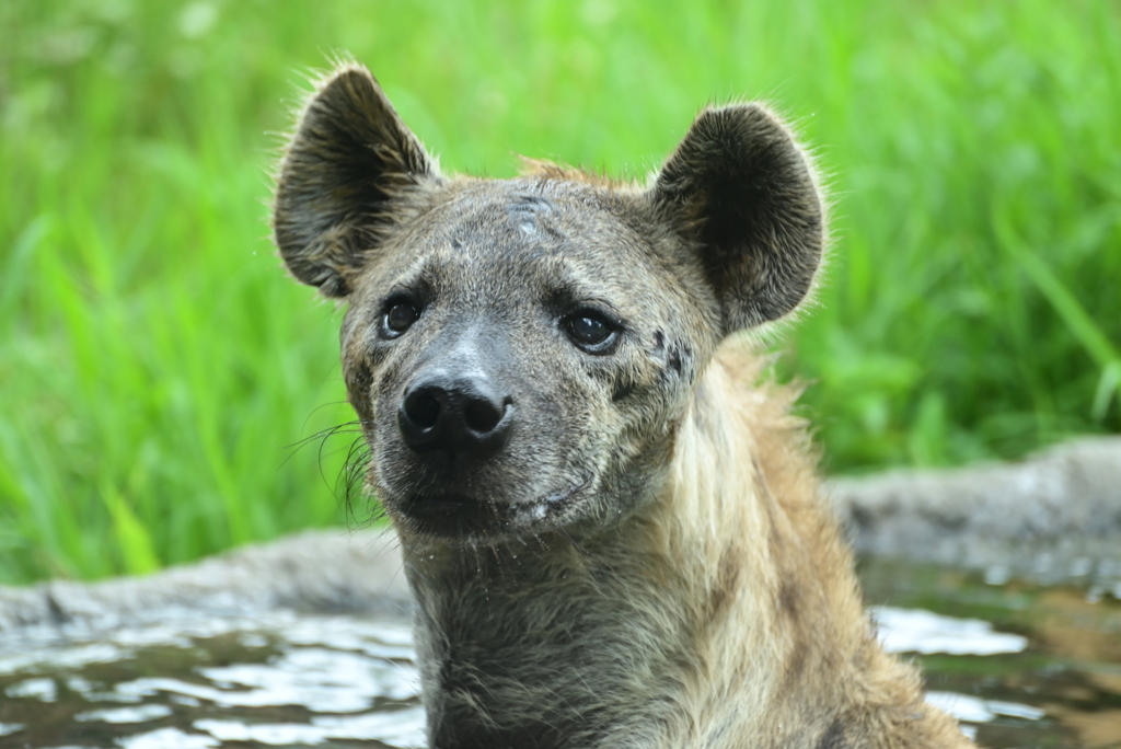 令和6年８月１０日の撮影⑳
