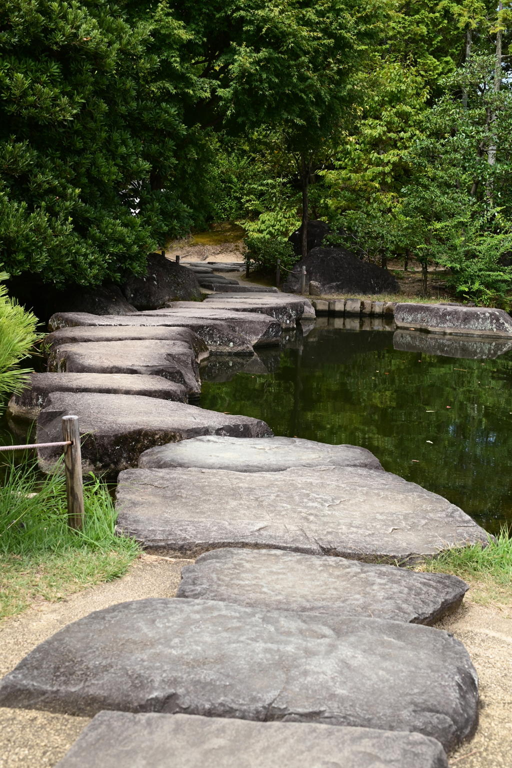 令和６年８月１７日の撮影