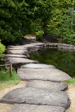 令和６年８月１７日の撮影