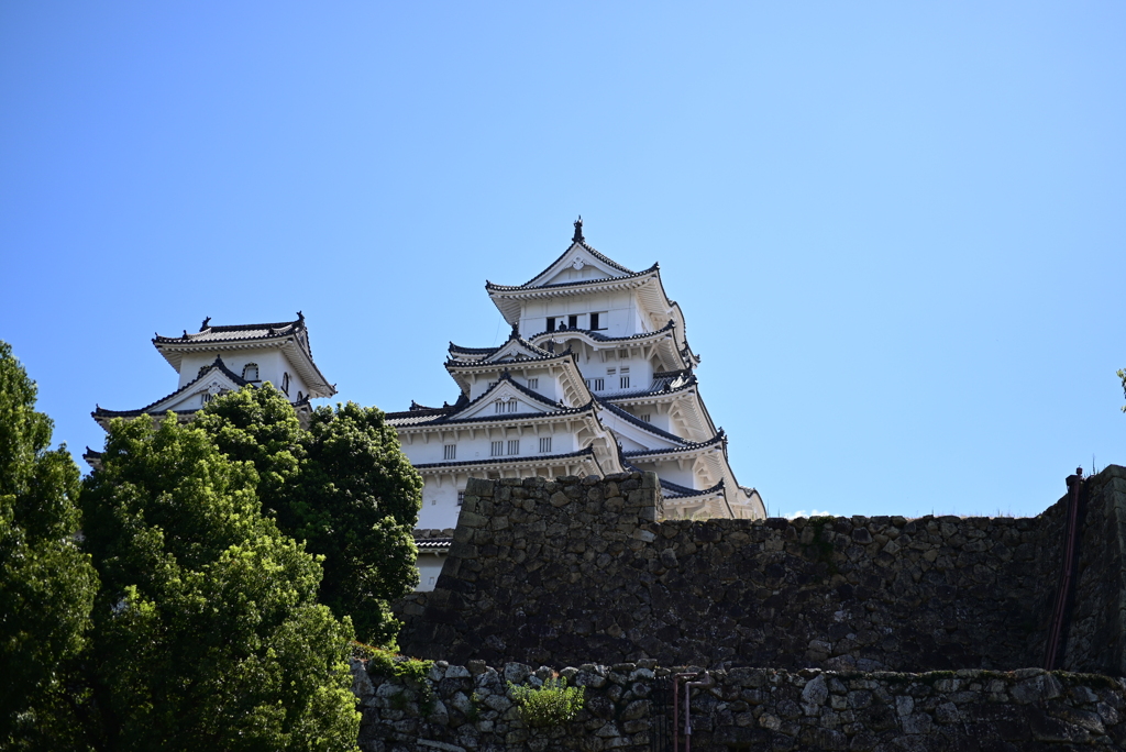 令和６年８月１７日の撮影