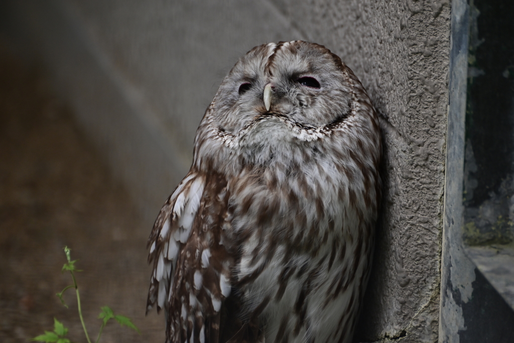 令和6年８月１０日の撮影㉕