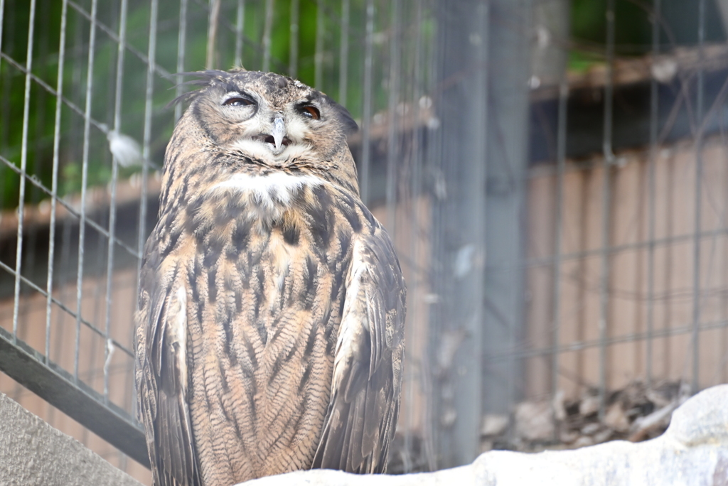 令和6年８月１０日の撮影㉖