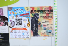 令和6年８月１０日の撮影④