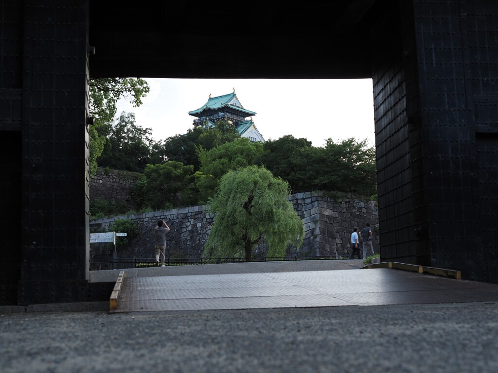 令和６年８月２４日の撮影