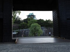 令和６年８月２４日の撮影