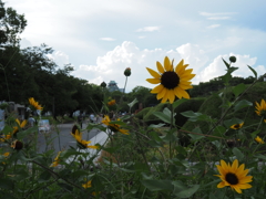 令和６年８月２４日の撮影