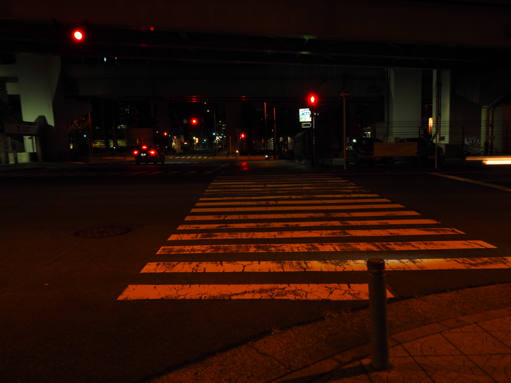 令和６年８月２４日の撮影