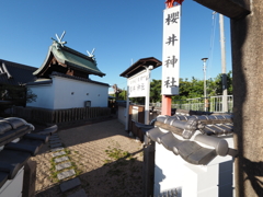 P7262457