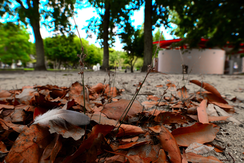 レタッチ後の作品