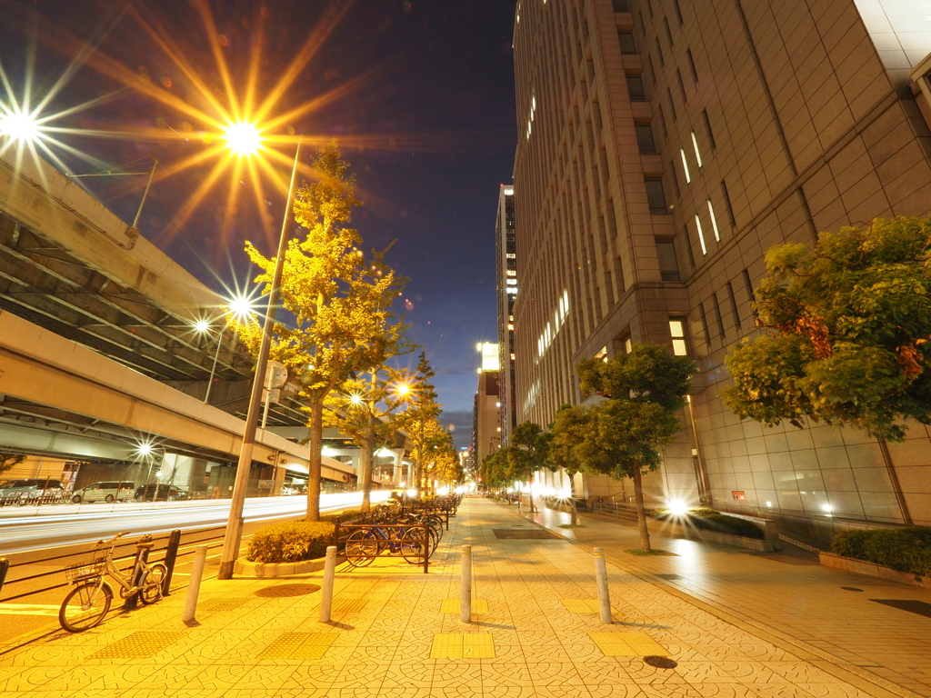 令和６年８月２４日の撮影
