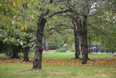 大阪城公園周辺