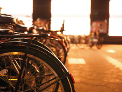 令和６年８月２４日の撮影