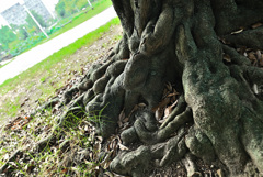 レッタチした作品