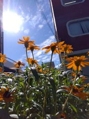 IMG_2024-09-18-14-34-52-528