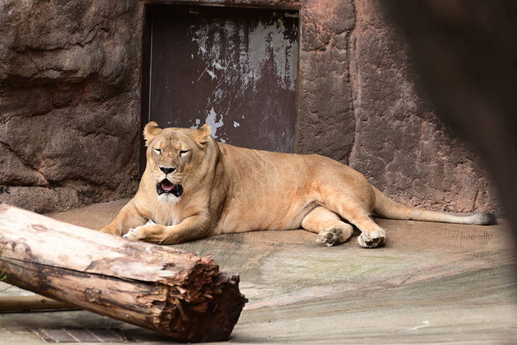 令和6年８月１０日の撮影㉔