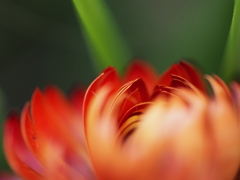 P6280053