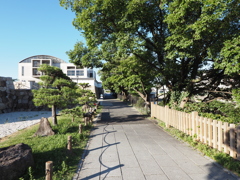 P7262439