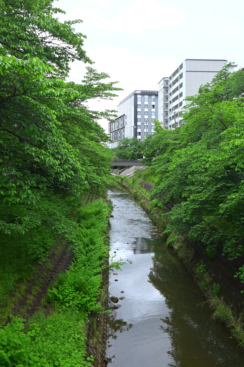 DSC_9656