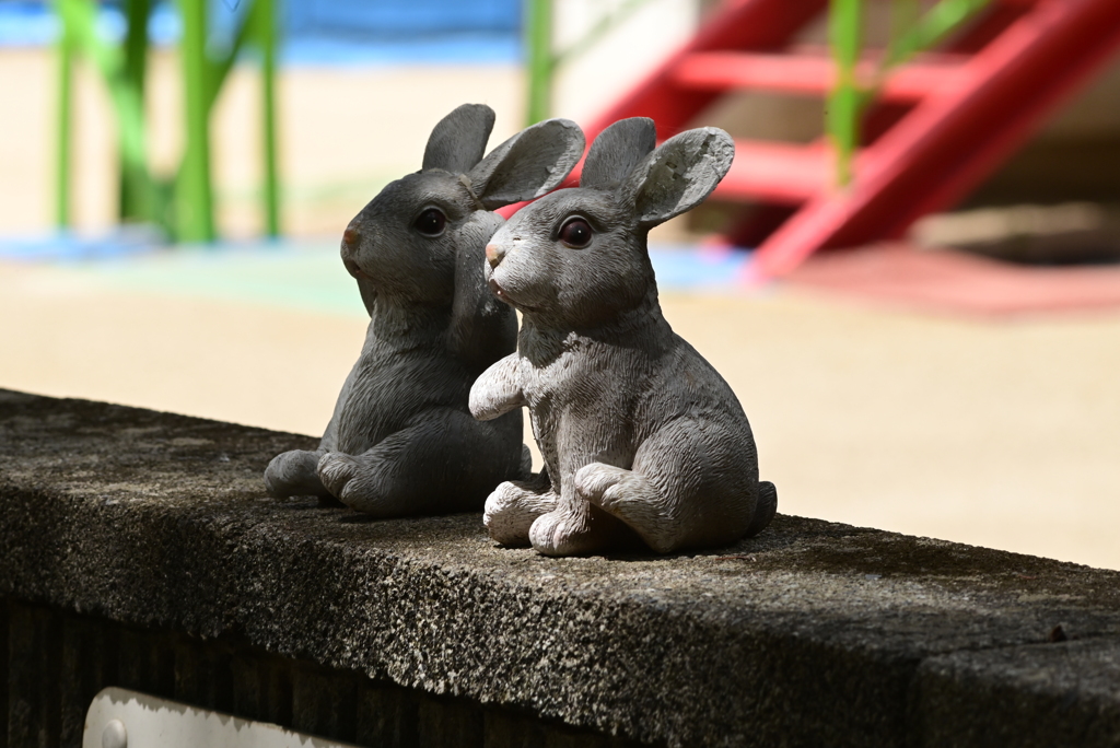 令和６年８月１７日の撮影