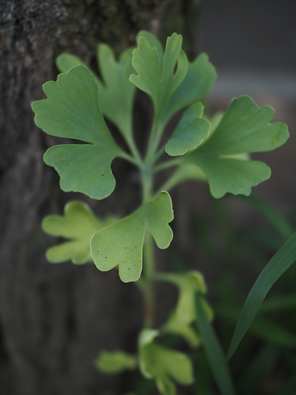 令和６年８月２４日の撮影