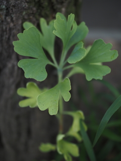令和６年８月２４日の撮影