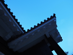 令和６年８月２４日の撮影