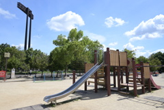 令和６年７月２７日長居公園　④