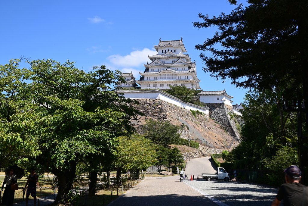 令和６年８月１７日の撮影
