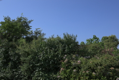 DSC_1842
