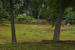 DSC_0537